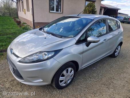 Ford Fiesta MK7 1.  25 benzyna 2009