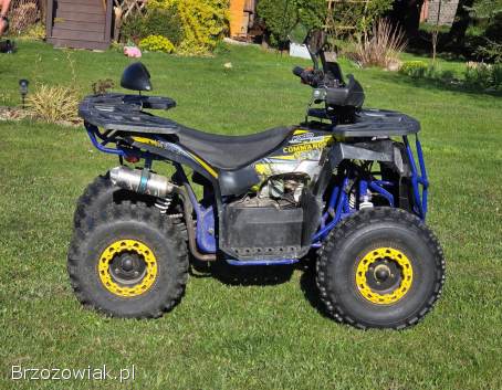 Commander 125
