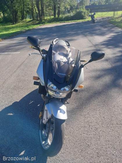 Kawasaki Z 750s 2006
