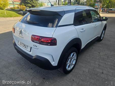 Citroën C4 Cactus 1.  5HDI Automat  2020