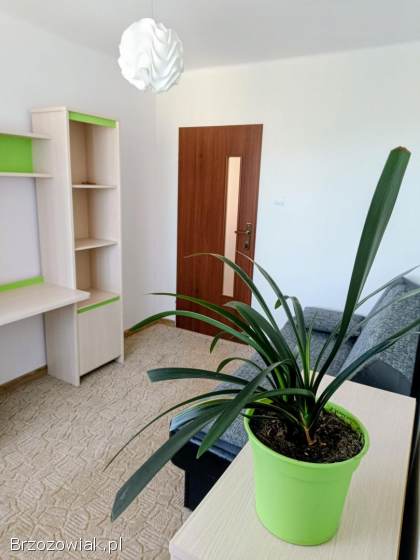 Mieszkanie 40m2 Sanok ul.  Kopernika