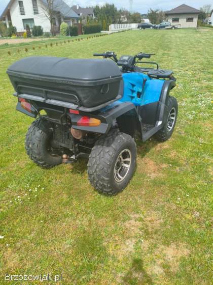 Quad buyang 300 4x4 z homologacją