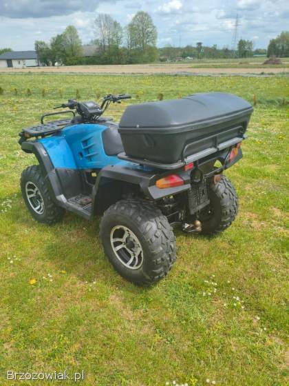 Quad buyang 300 4x4 z homologacją