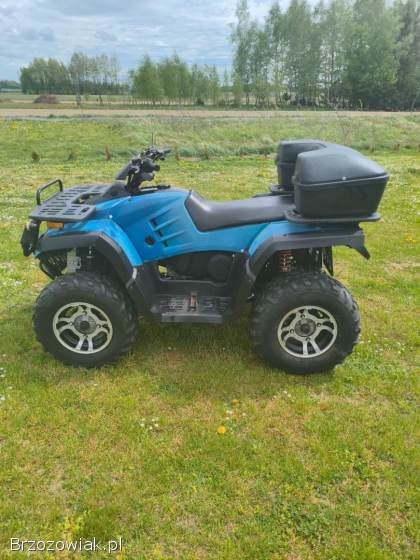 Quad buyang 300 4x4 z homologacją