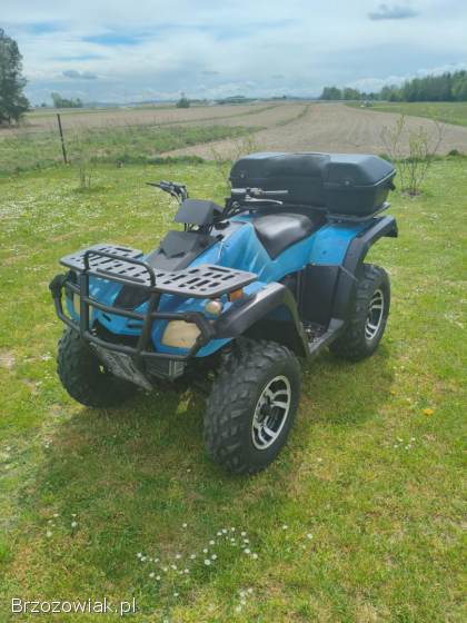 Quad buyang 300 4x4 z homologacją