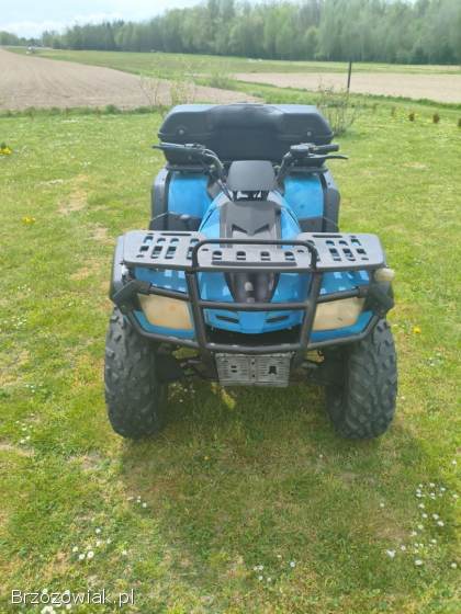 Quad buyang 300 4x4 z homologacją