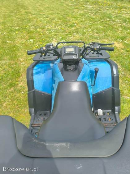 Quad buyang 300 4x4 z homologacją