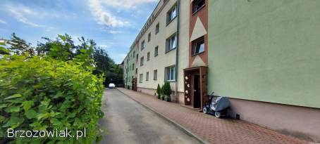 Mieszkanie / ul.  Jagiellońska / 2 pokoje / 53 m / stan idealny