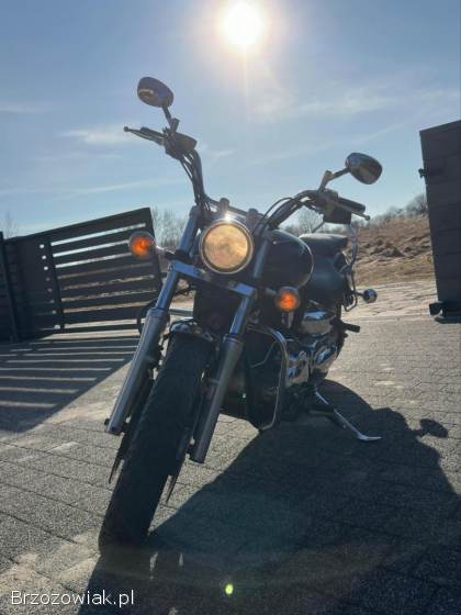 Yamaha Drag Star Custom 2006