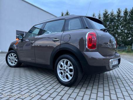 Mini Countryman 2011