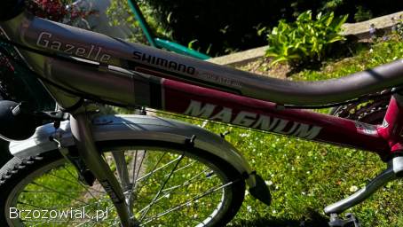 Rower Magnum