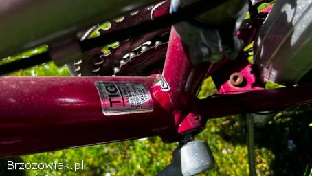 Rower Magnum
