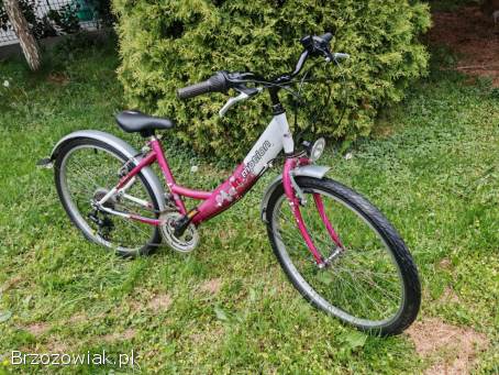 Rower Arkus In Motion -  koła 24