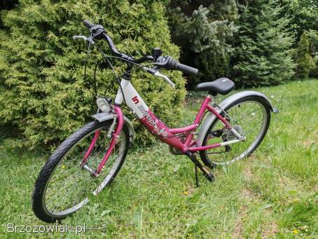 Rower Arkus In Motion -  koła 24