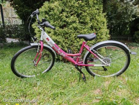 Rower Arkus In Motion -  koła 24