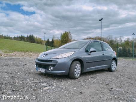 Peugeot 207 2009