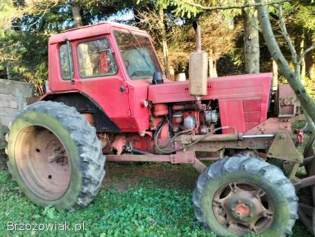 MTZ82 z przyczepą