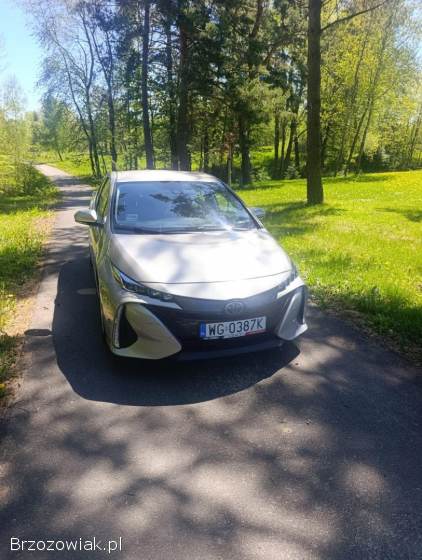 Toyota Prius Plug in 2020