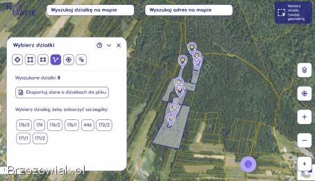 LAS NA SPRZEDAŻ -  5,  80 Ha Srogów Dolny