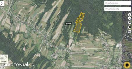 LAS NA SPRZEDAŻ -  5,  80 Ha Srogów Dolny