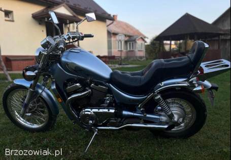 Suzuki Intruder Boulevard vs800 2006