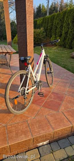 Rower damski DEMA Loara 1 28