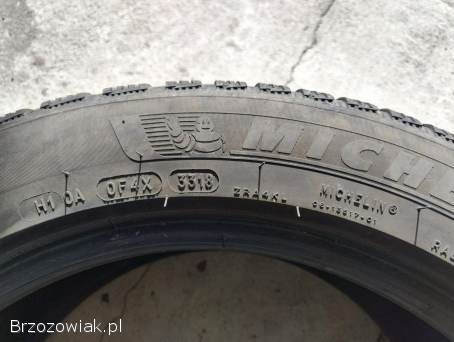 Michelin Alpin 225x50 R17
