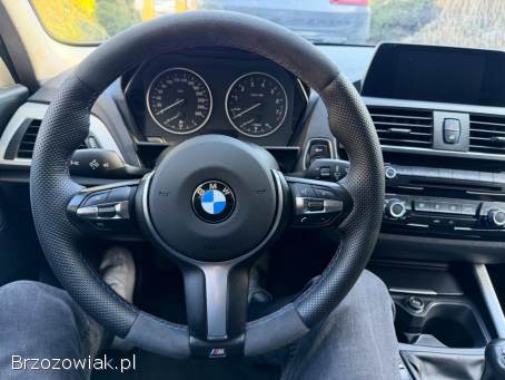 BMW Seria 1 116i 1.  5 B38 2016