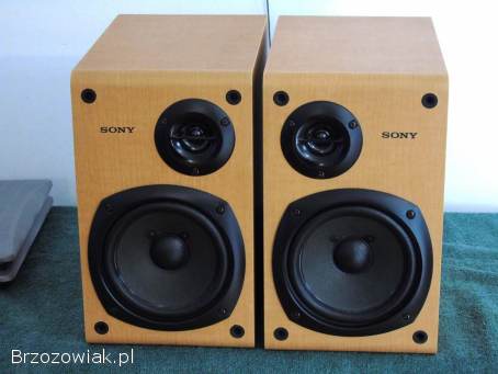 Kolumny Sony SS-CCP1 śliczne i sprawne.  WYSYŁKA.