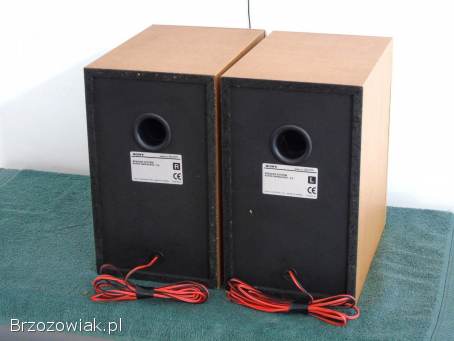 Kolumny Sony SS-CCP1 śliczne i sprawne.  WYSYŁKA.