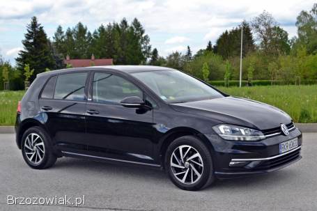 Volkswagen Golf VII 2019