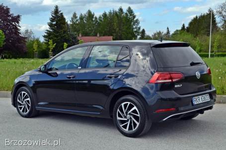 Volkswagen Golf VII 2019