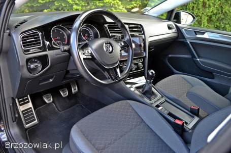 Volkswagen Golf VII 2019
