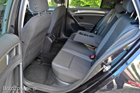 Volkswagen Golf VII 2019