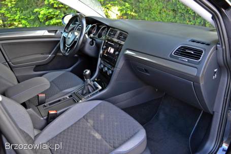Volkswagen Golf VII 2019