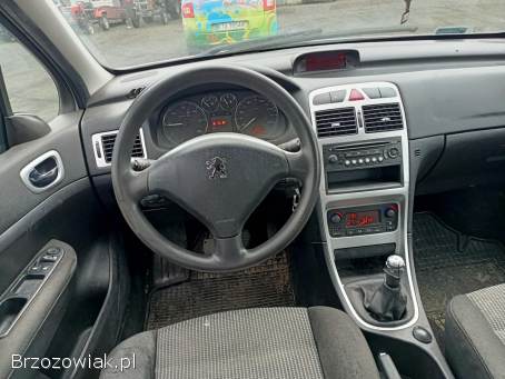 Peugeot 307 1.  6HDI 90km 07r 2007