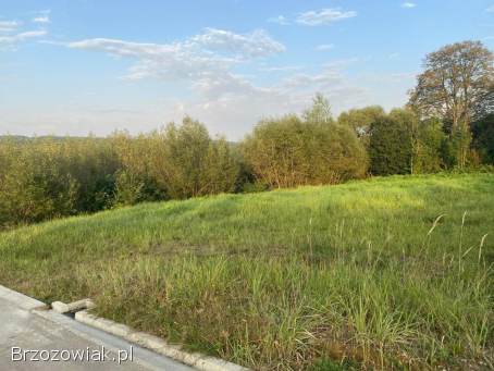 Działka