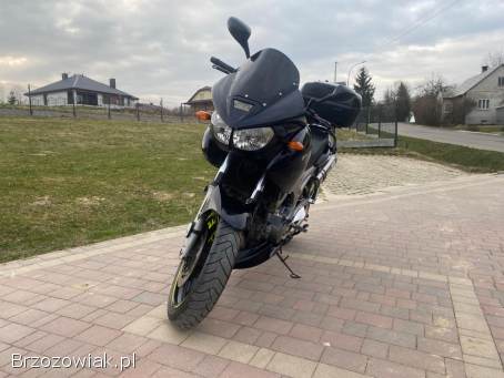 Yamaha TDM 900 2002