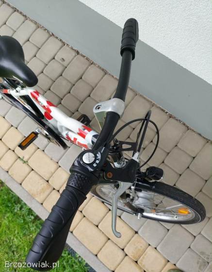 Rower dziecięcy 20’