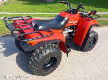 Yamaha Bear Tracker 250 w idealnym stanie