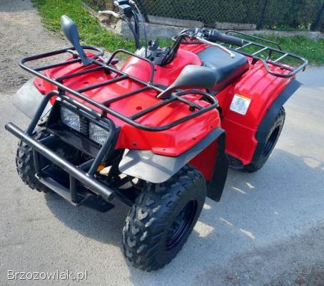 Yamaha Bear Tracker 250 w idealnym stanie