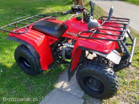 Yamaha Bear Tracker 250 w idealnym stanie