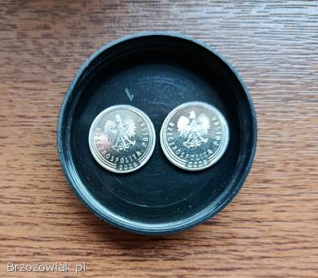 Moneta 20 gr