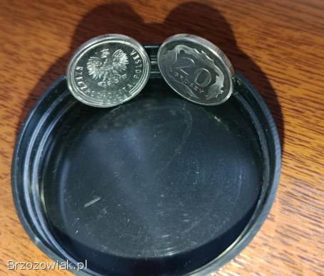 Moneta 20 gr