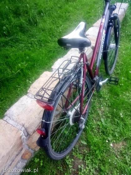 Rower trekkingowy Pegasus Milano aluminiowy
