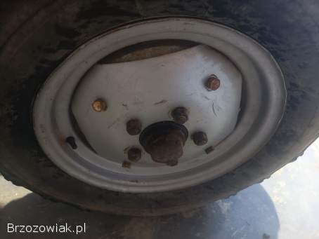 Koło felga ursus na 5 otworów