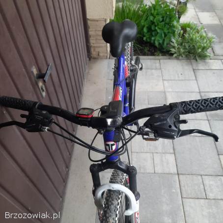 Rower TOP BIKE