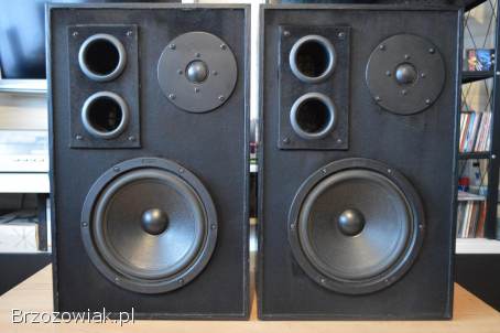 Udany DIY Projekt Canton/Tonsil Kolumny 2-drożne Podstawkowe Wysyłka