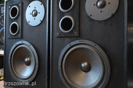 Udany DIY Projekt Canton/Tonsil Kolumny 2-drożne Podstawkowe Wysyłka