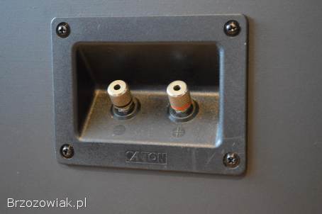 Udany DIY Projekt Canton/Tonsil Kolumny 2-drożne Podstawkowe Wysyłka